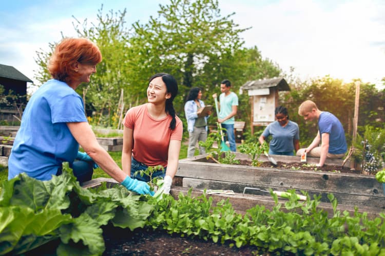 Community Garden Harvest Report